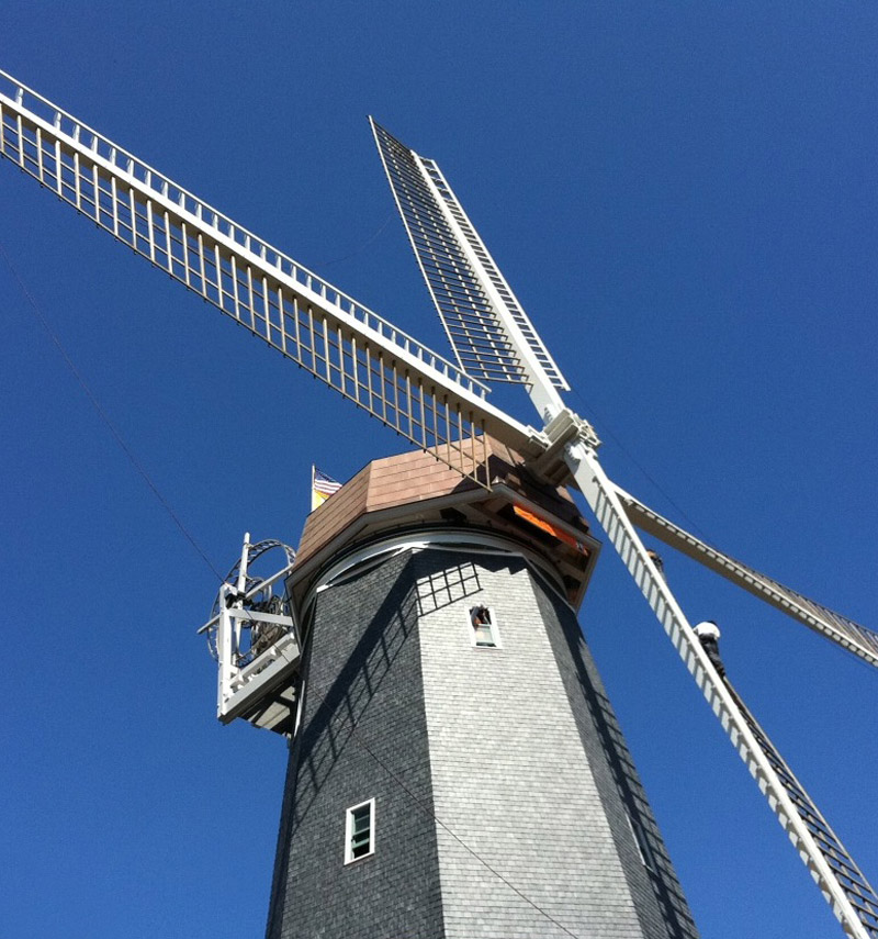 glendyne-slate-Murphy’s-Windmill-Golden-Gate-Park-San-Francisco-CA-USA